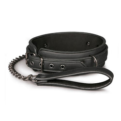 Collar & Lead Set