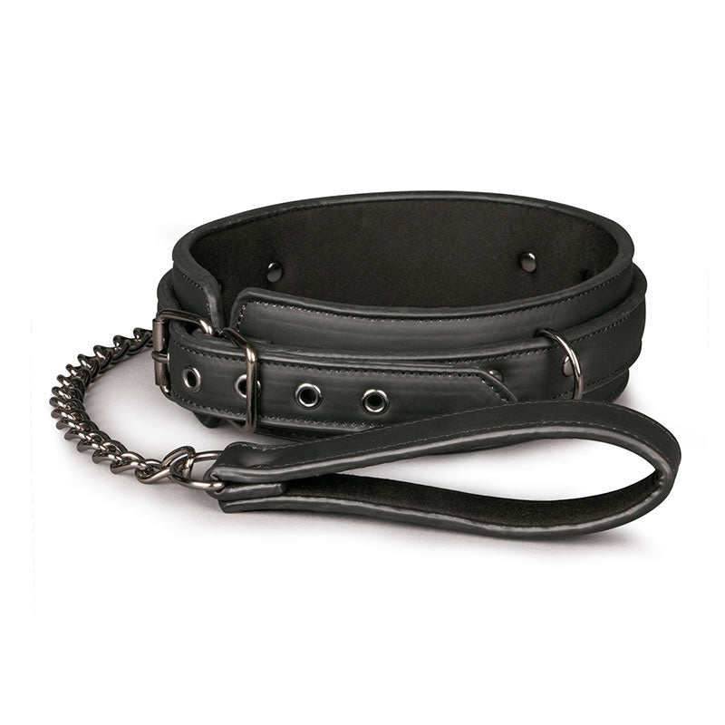 Collar & Lead Set